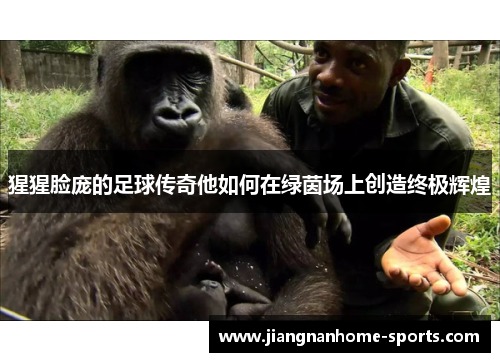 猩猩脸庞的足球传奇他如何在绿茵场上创造终极辉煌
