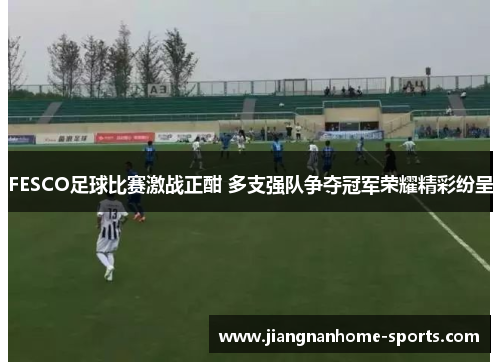 FESCO足球比赛激战正酣 多支强队争夺冠军荣耀精彩纷呈